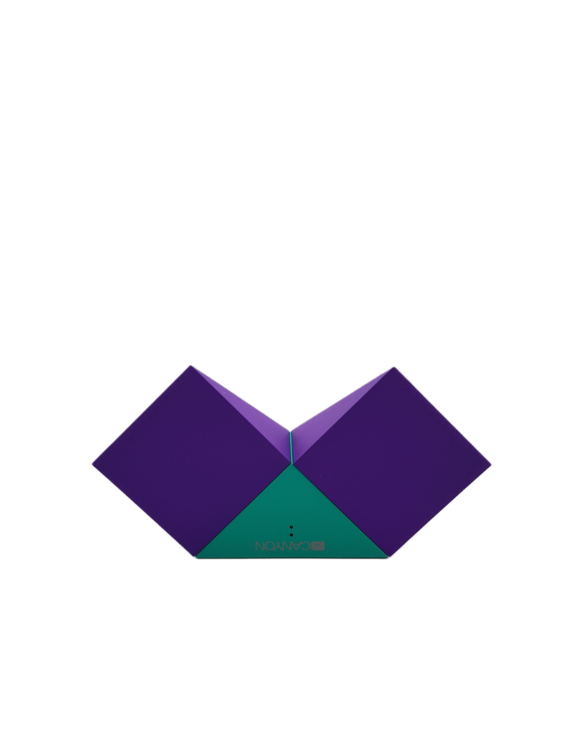 CANYON Transformer CNS-CBTSP4