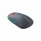 Безжична мишка Canyon CNS-CMSW22DG, RGB, Bluetooth, Сива