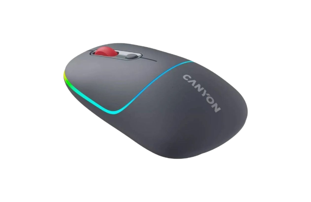 Canyon CNS-CMSW22DG Wireless/BT Dark Grey USB