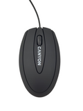 Мишка Canyon CNE-CMS1 USB