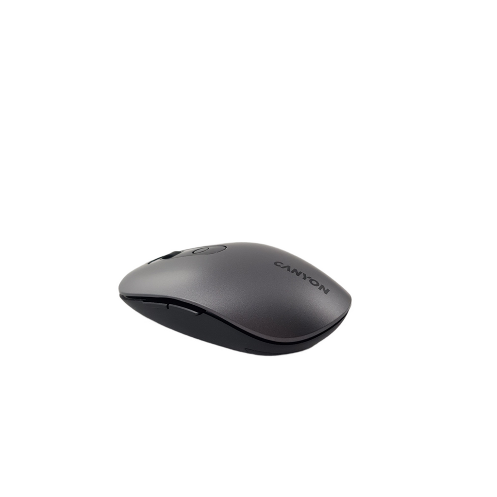 Canyon CNS-CMSW09DG Wireless/BT Silver USB