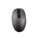 Canyon CNS-CMSW09DG Wireless/BT Silver USB