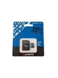 Kingston Canvas Go!™ Plus microSDXC™ – 256GB  (SDCG4)