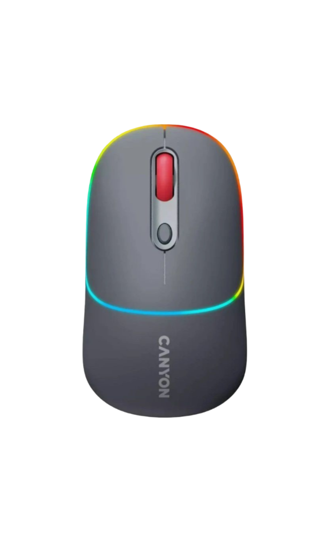 Canyon CNS-CMSW22DG Wireless/BT Dark Grey USB